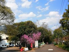 -天台山赤城山景区