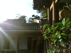 -鸿山公园