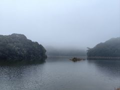 -广州市石门国家森林公园