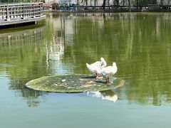-静之湖度假区