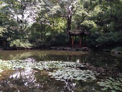 -杭州植物园