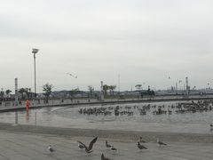 -东港音乐喷泉广场