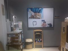 -御宝贝·A梦猫科宠物医院(国际猫友好医院)
