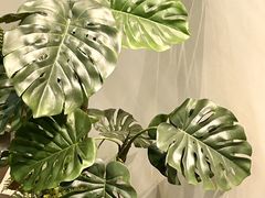 -HITEA嘆萃(北江新区店)