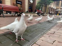 -王府井奥莱临潼小镇(临潼店)