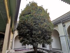 -南京中国近代史遗址博物馆(南京总统府)