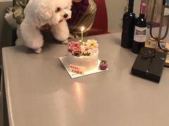 -BON CAKE(华贸购物中心店)