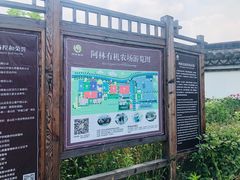 -阿林有机农庄