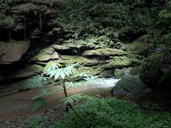 -碧峰峡风景区