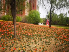 -迎泽公园