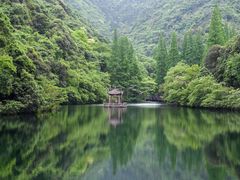 -宁海森林温泉