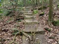 -广州市石门国家森林公园