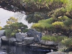 -中国唐苑