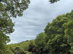 -临平公园(临平街道)