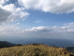 -大围山国家森林公园