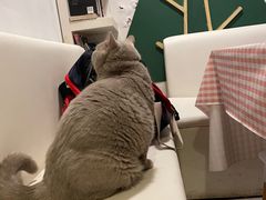 -小时光咖啡馆(北锣鼓巷店)