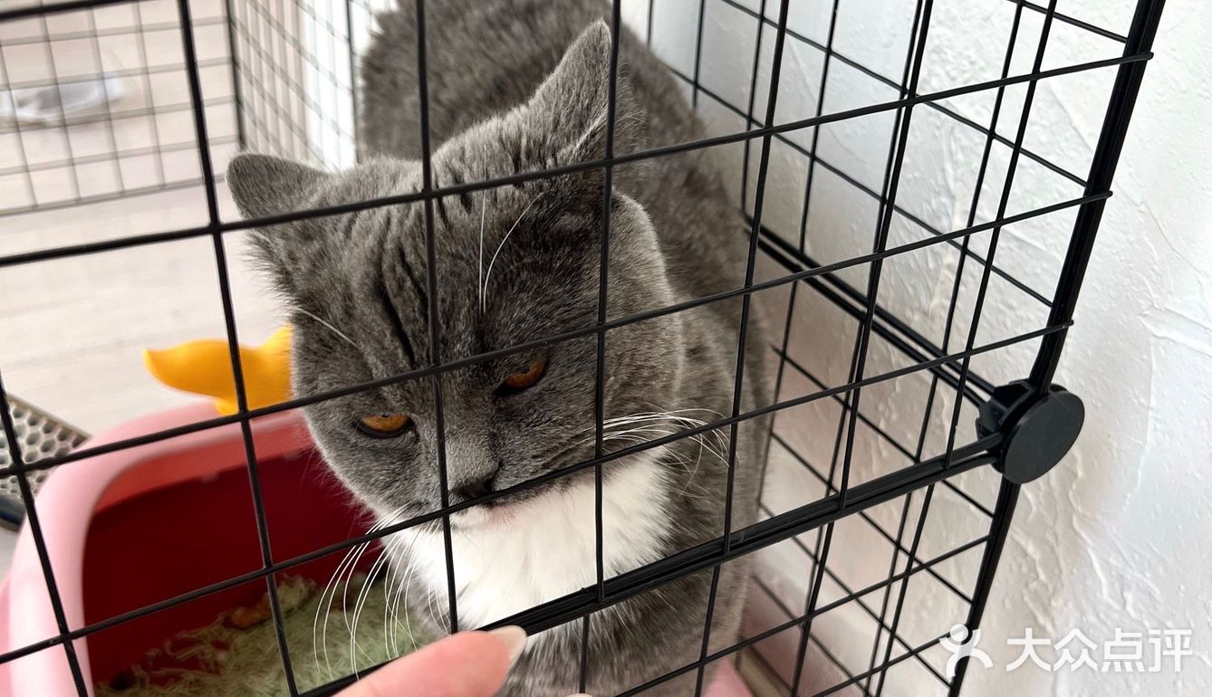 沈阳秋冬超仙实用款美甲｜欣鑫美甲 