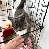 沈阳秋冬超仙实用款美甲｜欣鑫美甲 