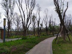 -白鹭湾湿地公园