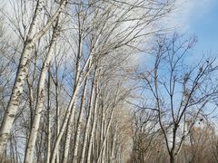 -东郊湿地公园
