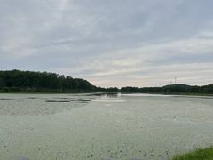 -御道口草原森林风景区