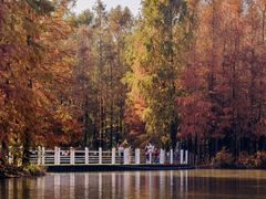 -上海海湾国家森林公园