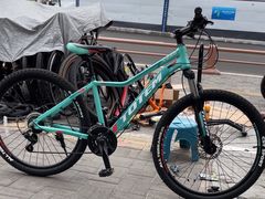 -道路口单车爱瓦士dahon大行