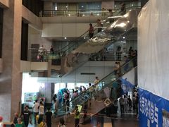 -深圳市人民医院(留医部)