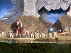 -成都浩海立方海洋公园