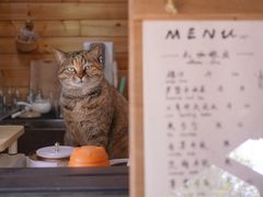 -游子山休闲旅游区