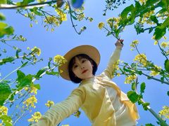 -合肥滨湖国家森林公园