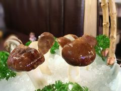 姬松茸菌-龙门养心粥火锅(祥恒广场店)