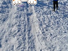 -绿野森林乐园冰雪季