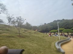 -南宁荔园维景国际大酒店·荔园中餐厅