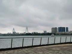 -万绿园