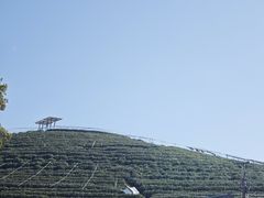 -听风阁农家私房菜茶楼(龙坞店)