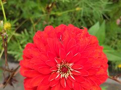 -白鹭湾湿地公园