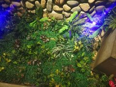 -令狐冲烤鱼·烧菜馆(达明店)