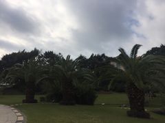 -厦门悦华酒店