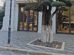 -湖锦酒楼·旗舰店(三阳总店)