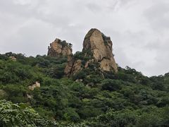 -大岭沟猕猴桃谷风景区