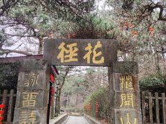-庐山风景区花径公园