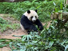 -广州长隆野生动物世界