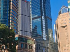 -陆家嘴中心绿地