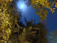 -深业半汤御泉庄温泉