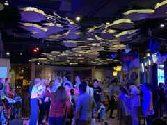 -Paulaner·德国帕拉娜自酿啤酒餐厅(海上世界店)