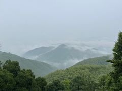 -莫干山风景区