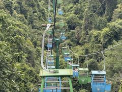 -野象谷景区