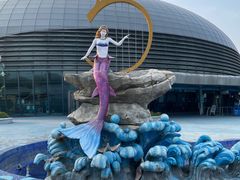 -芜湖新华联大白鲸海洋公园