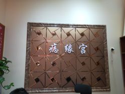 -痣缘宫